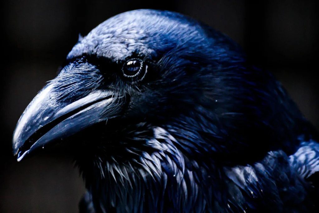 Blumenmuster auf Frauen und idyllische Berglandschaften: Die Bilder der Woche 7