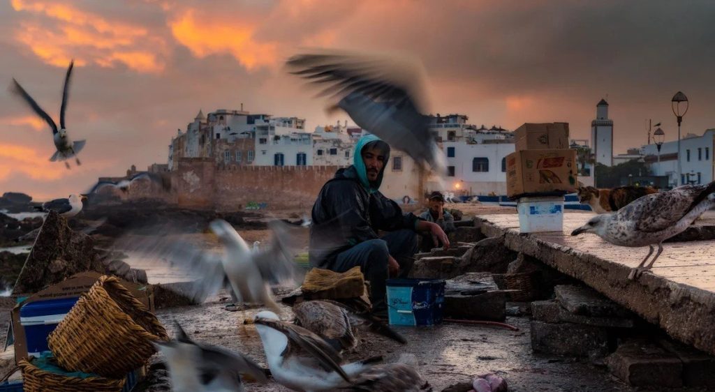 Regenbogen-Eis und in US-Flaggen gehüllte Hunde: Die Bilder der Woche KW 6