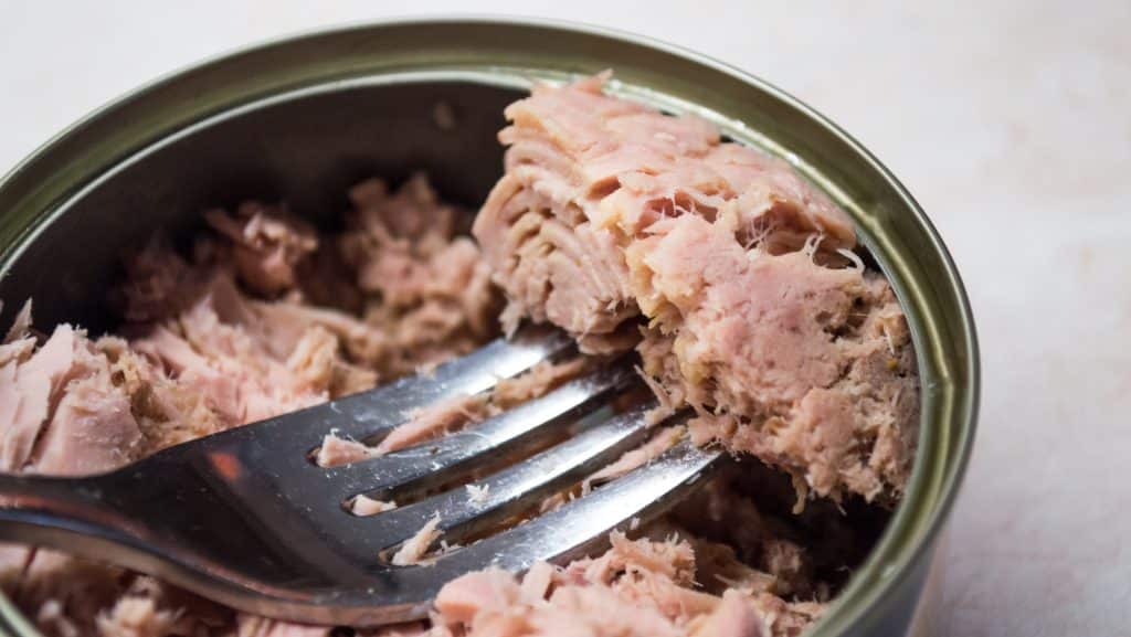 Thunfisch im Test: So viel Quecksilber steckt wirklich in der Dose