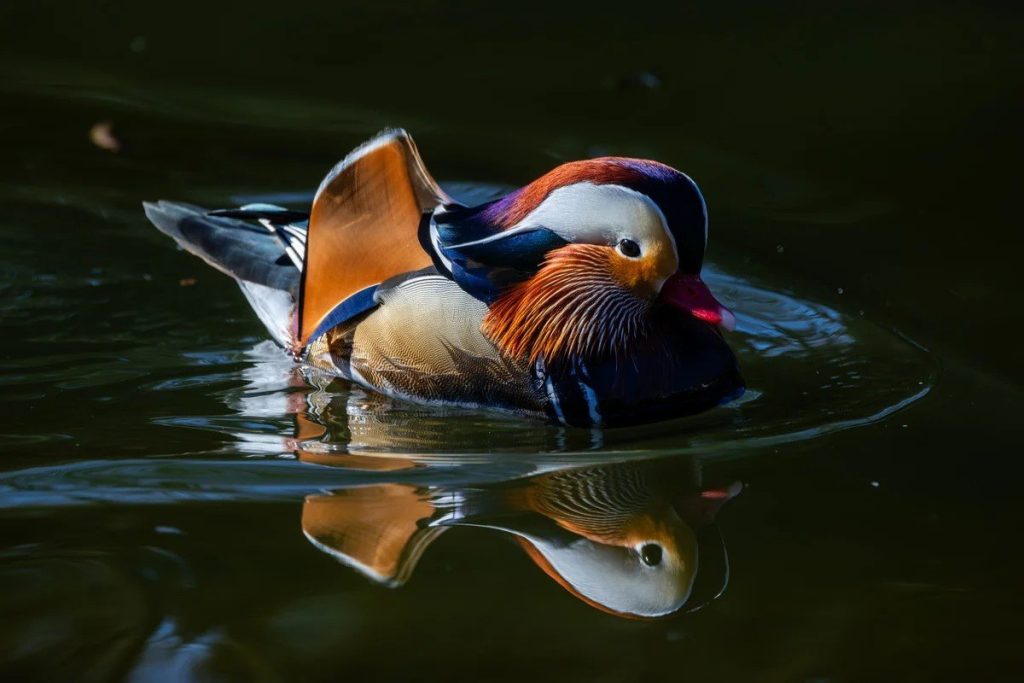 Von Saharastaub, Kristallen und Sonnenuntergängen: Die Bilder der Woche 12
