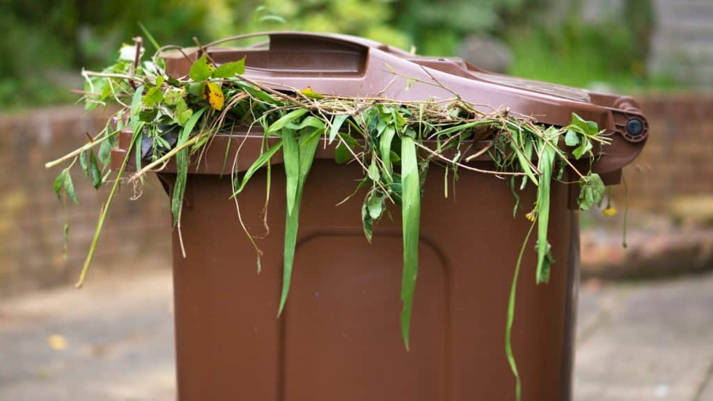 Gartenabfälle smart entsorgen: Tipps für eine umweltgerechte Handhabung