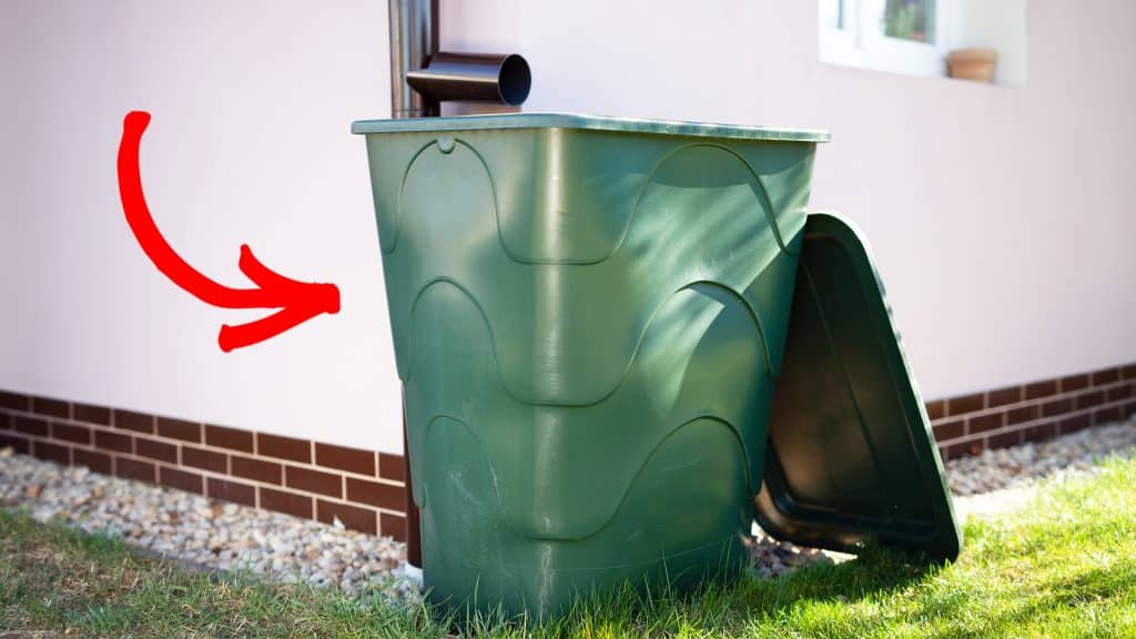 Großer Fehler im Garten: So plagen Sie tausende Mücken